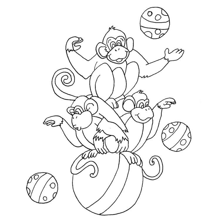coloriage à dessiner singe