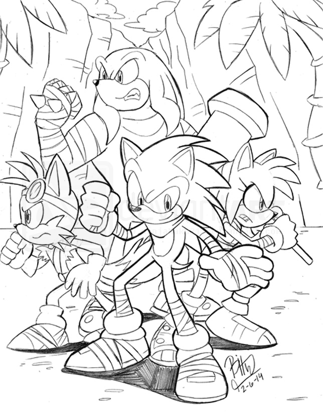 Sonic Dessin A Imprimer / Coloriage Sonic 184 dessin / Nous te