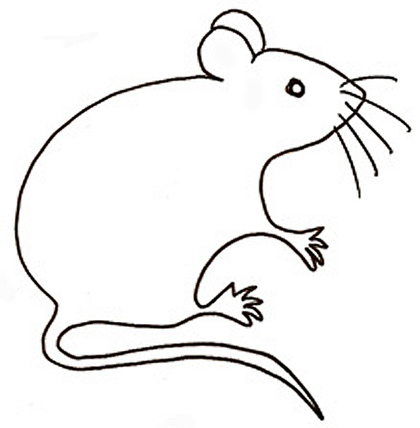 dessin à colorier trois souris en papier