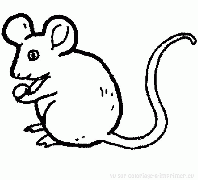 coloriage souris en ligne gratuit