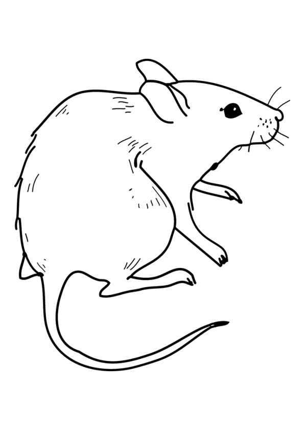 dessin à colorier chat et souris a imprimer