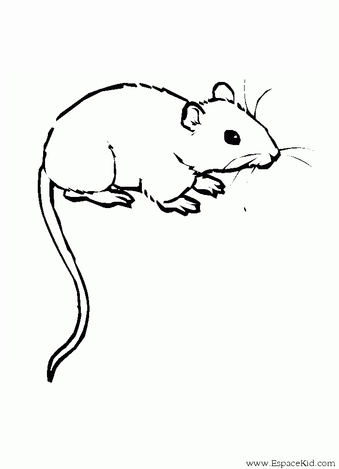 dessin à colorier petite souris