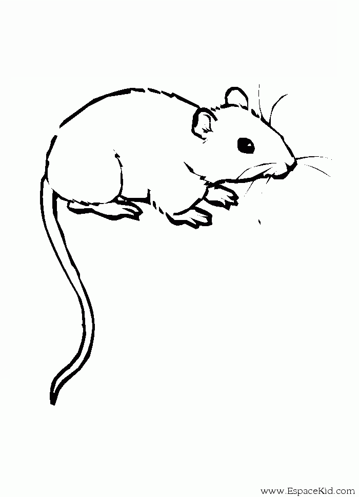 coloriage souris