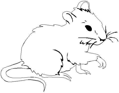 coloriage 24 petites souris vont à l'école