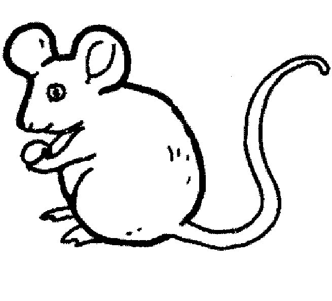 vrac dessin souris