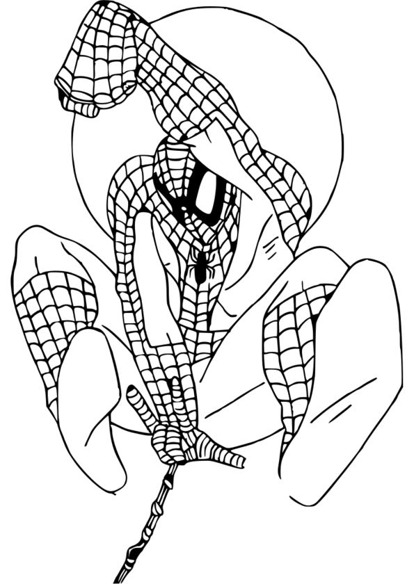 les coloriage de spiderman