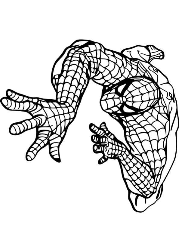 Coloriage spiderman a imprimer - coloriage à imprimer spiderman