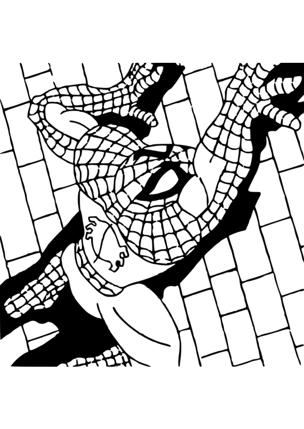 coloriage spiderman contre venom