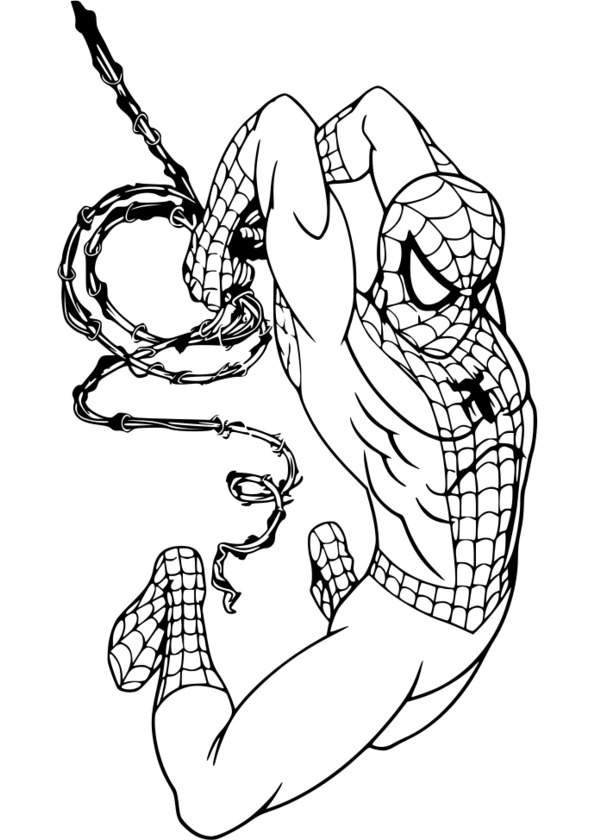 coloriage spiderman superman