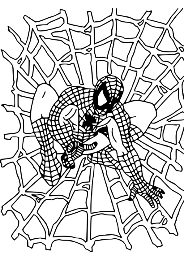 coloriage spiderman et superman