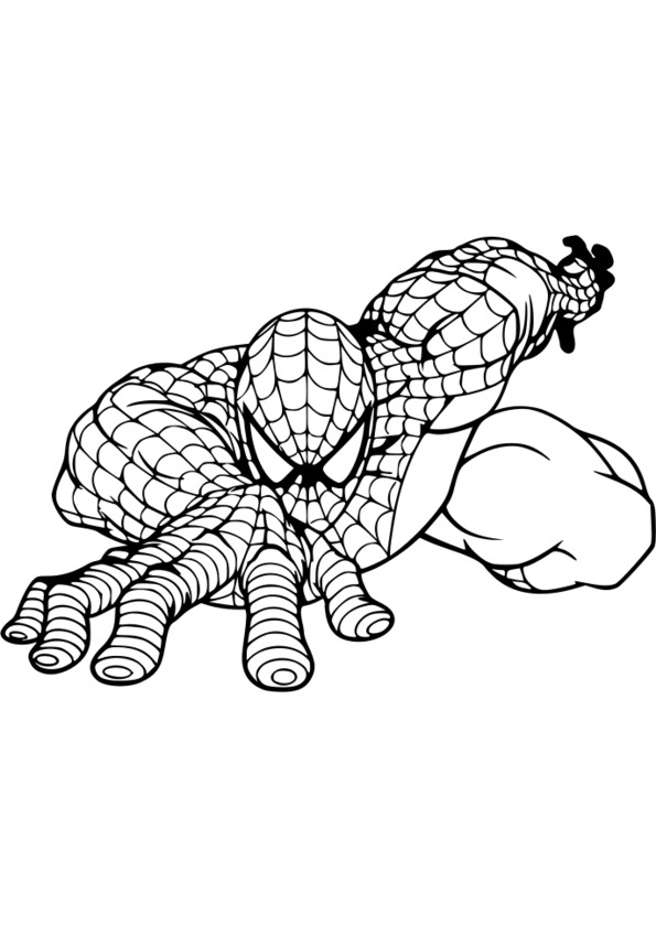 coloriage spiderman contre venom