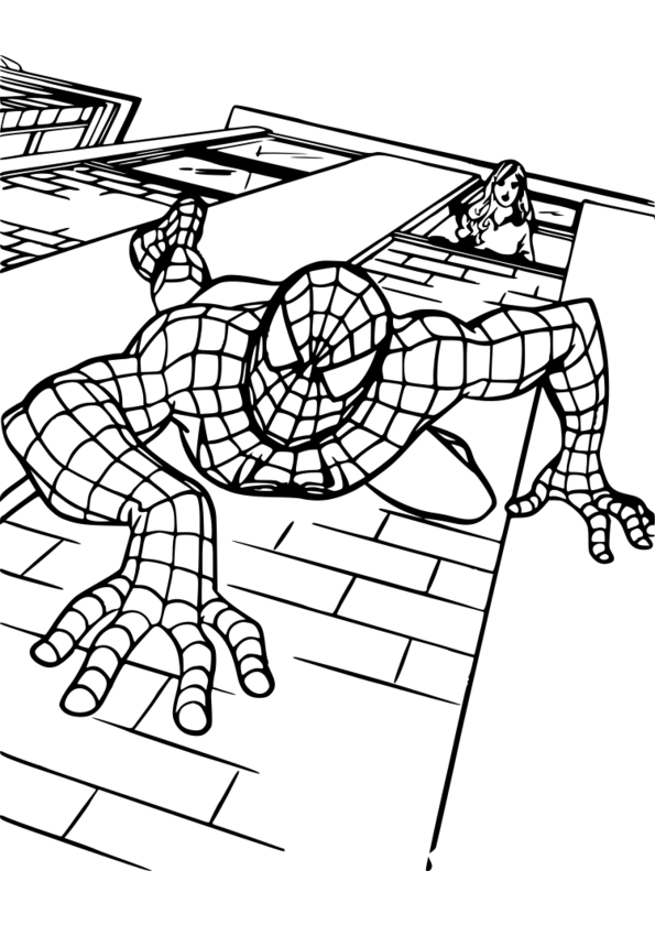 coloriage spiderman grand format
