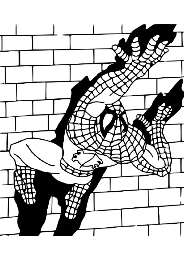 coloriage spiderman simple