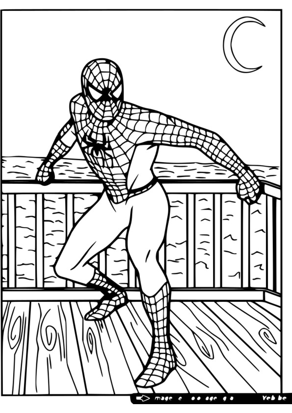 un coloriage de spiderman
