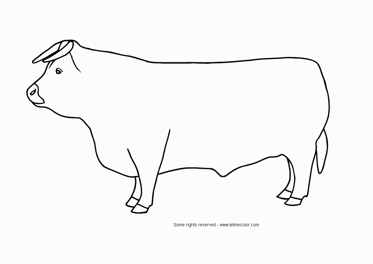 dessin dessin  colorier taureau
