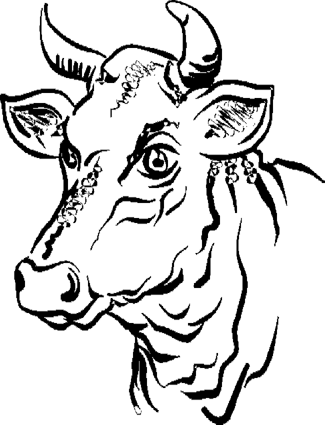 coloriage à dessiner de taureau en ligne