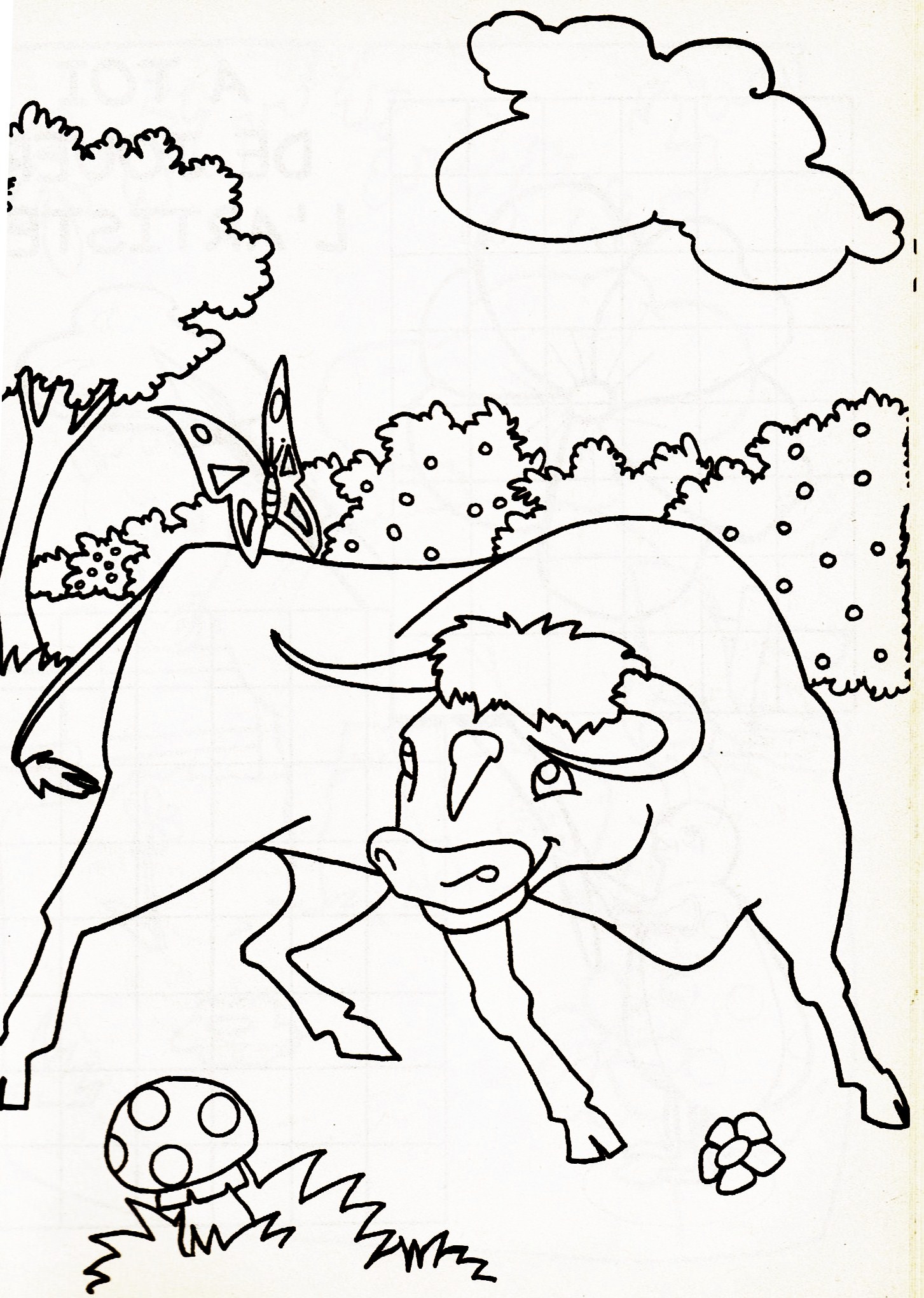 dessin taureau a imprimer gratuit coloriage taureau imprimer gratuit