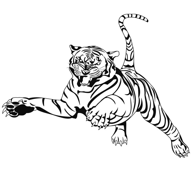 coloriage tigre a dent de sabre