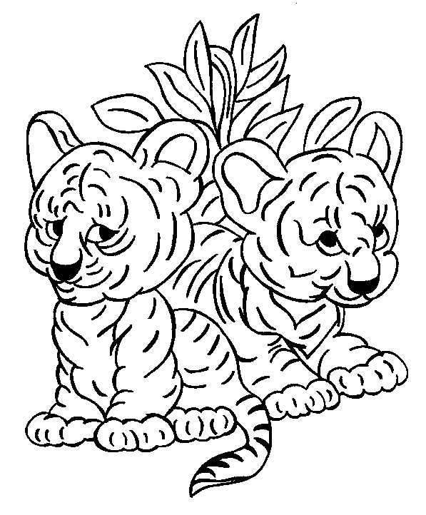 coloriage tigre bebe