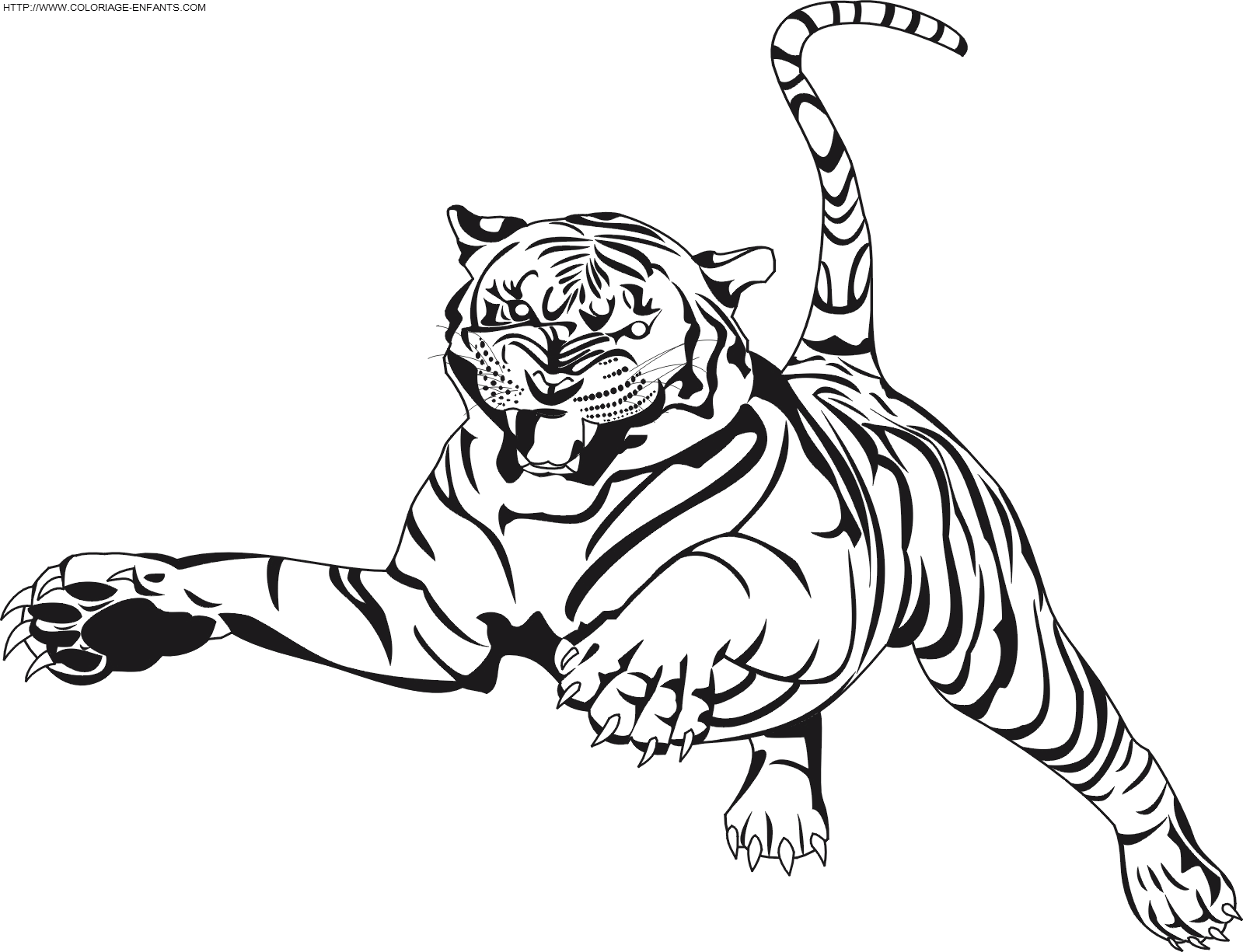 coloriage tigre à imprimer - Coloriage tigre sur Hugolescargot Hugolescargot 