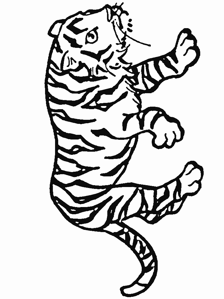 coloriage tigre cirque