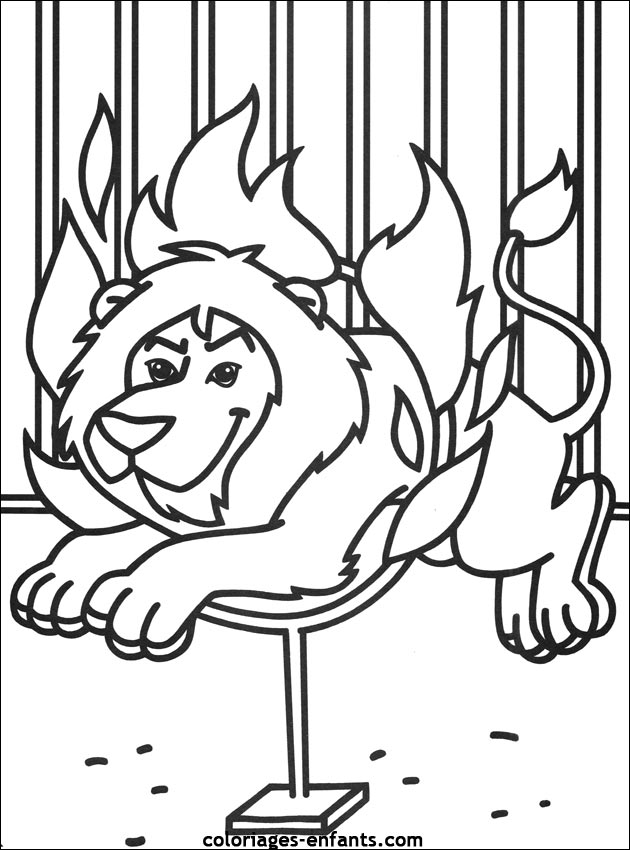 coloriage tigre et lion