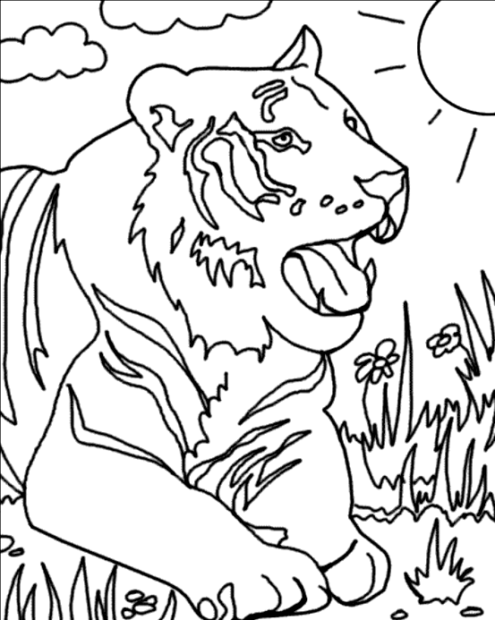 dessin à colorier de tigre en ligne