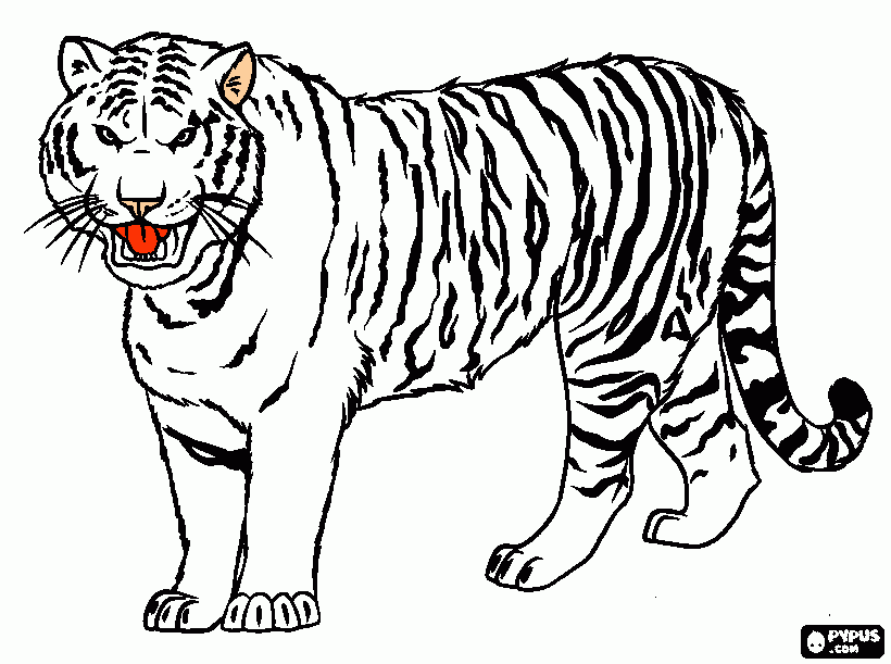 dessin à colorier masque tigre