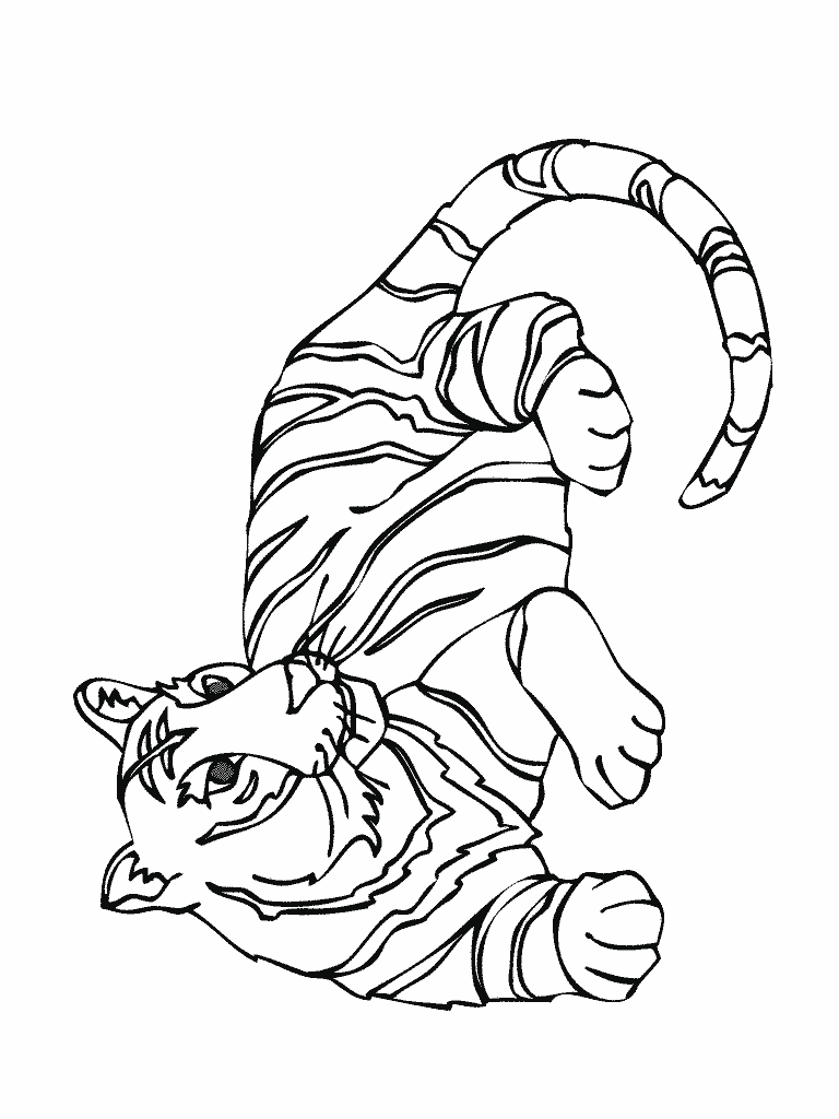 coloriage tigre