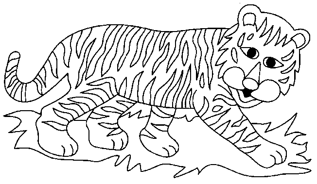 coloriage a dessiner de tigre a colorier