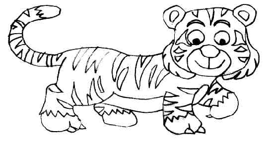 modele dessin tigre