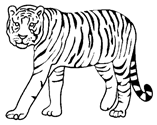coloriage à dessiner tigre et nounours