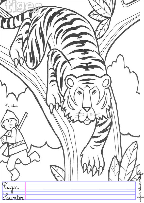 coloriage à dessiner tigre sans rayures