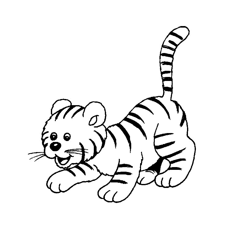 coloriage a imprimer tigre a dent de sabre