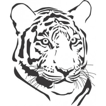 Coloriage Animaux Tigre A Imprimer Gratuit Dessin De Tigre