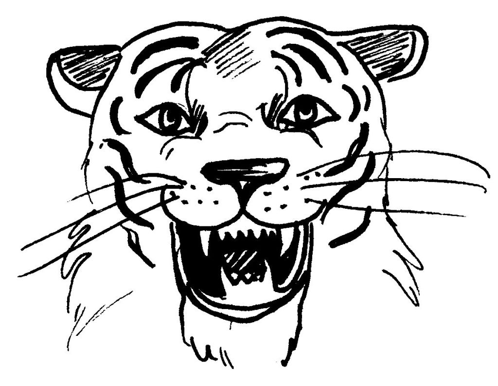 dessin tigre à imprimer