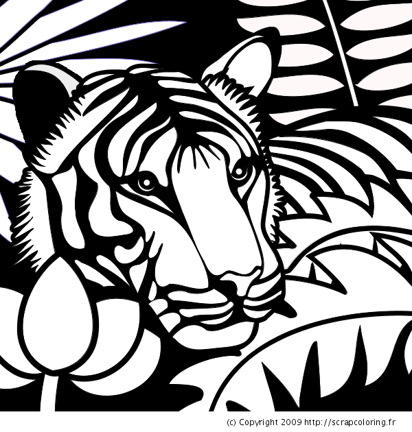 coloriage en ligne tigre à dent de sabre