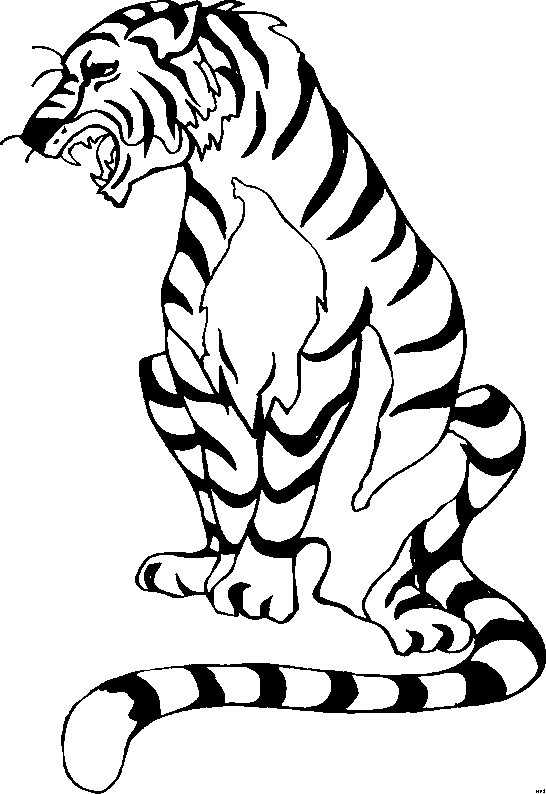 Coloriage A Dessiner Bebe Tigre A Imprimer Coloriage A Dessiner Bebe Tigre A Imprimer