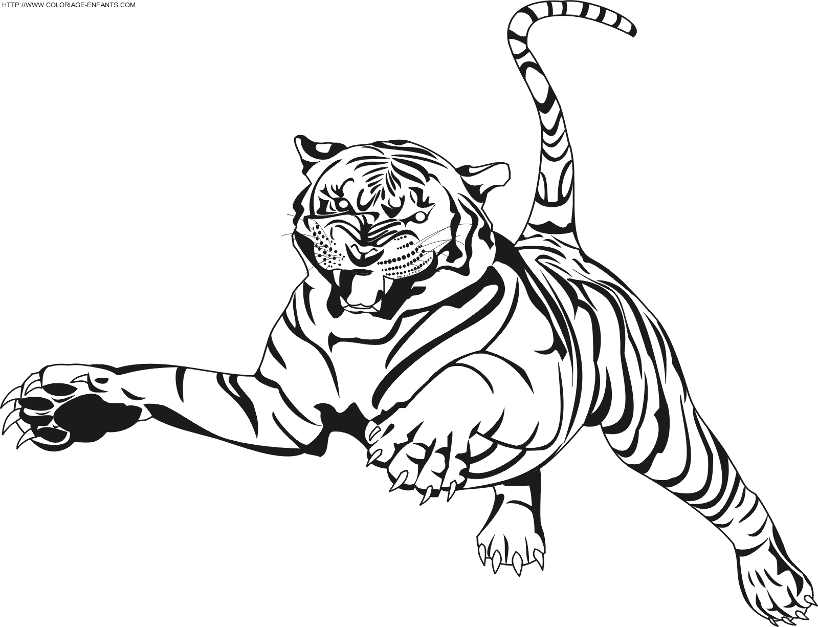 coloriage tigre bƒ©bƒ©