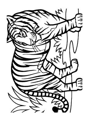 dessin à colorier tigre gratuit