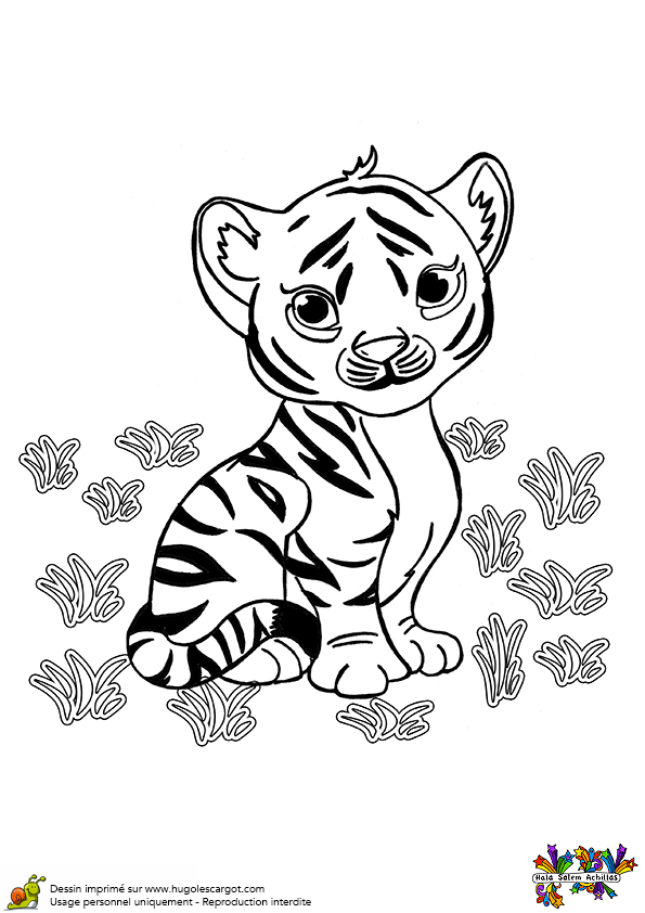 dessin magique tigre