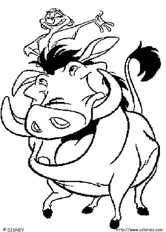 coloriage timon et pumba a imprimer