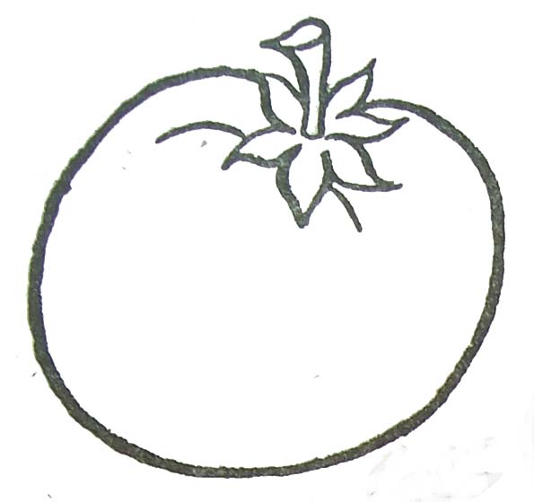 dessin à colorier tomate