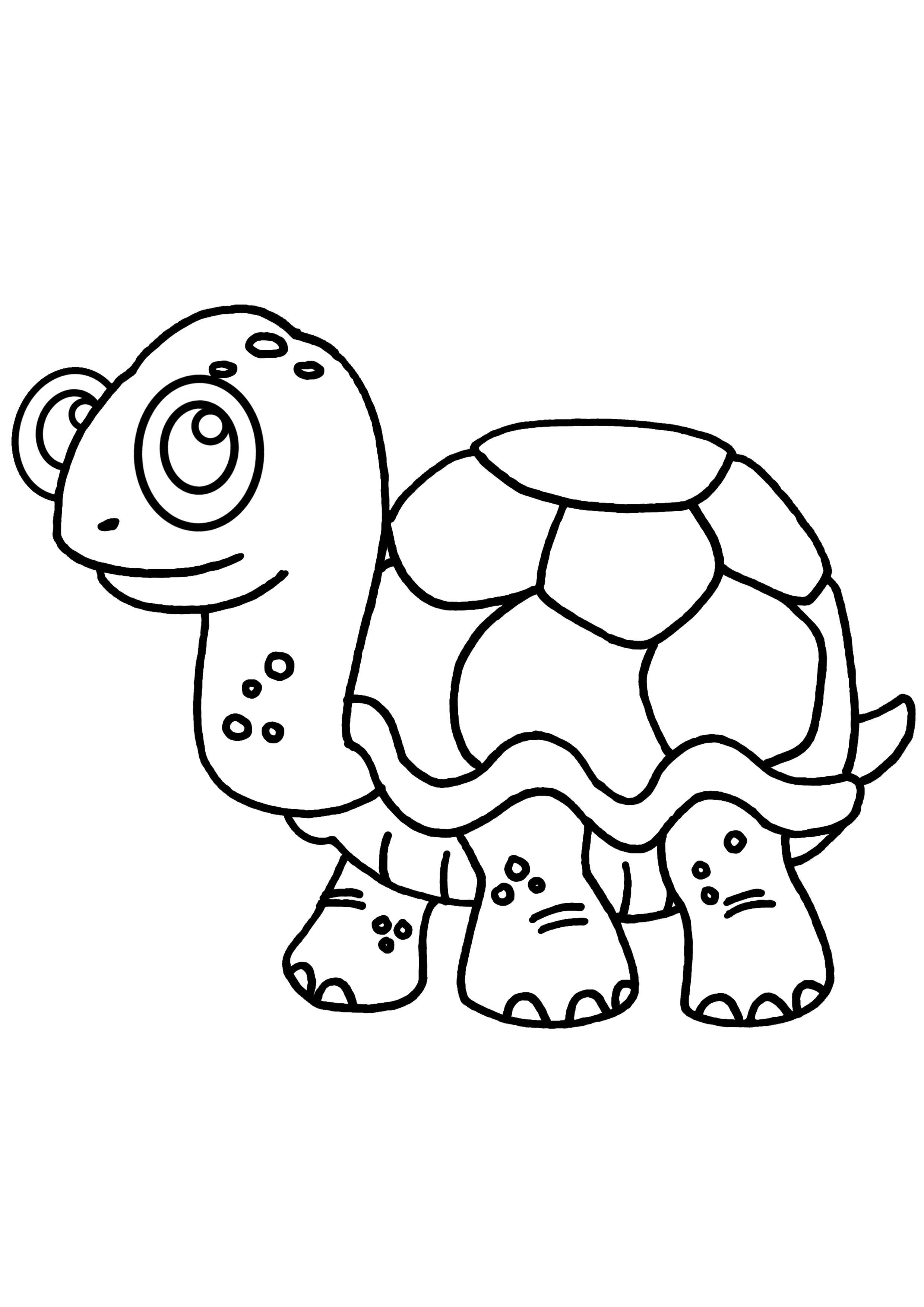 coloriage tortue en ligne