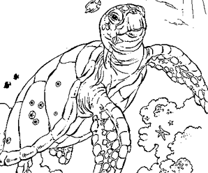 coloriage à dessiner samy la tortue en ligne