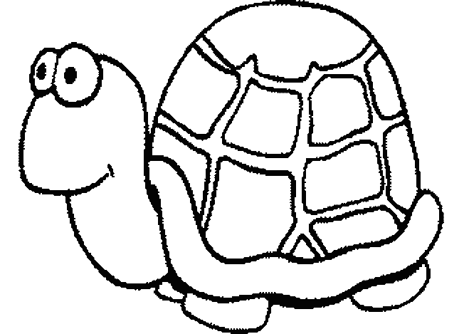 dessin samy la tortue a imprimer