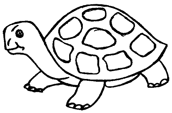 dessin d'une tortue de mer