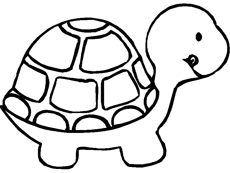 dessin à colorier tortue