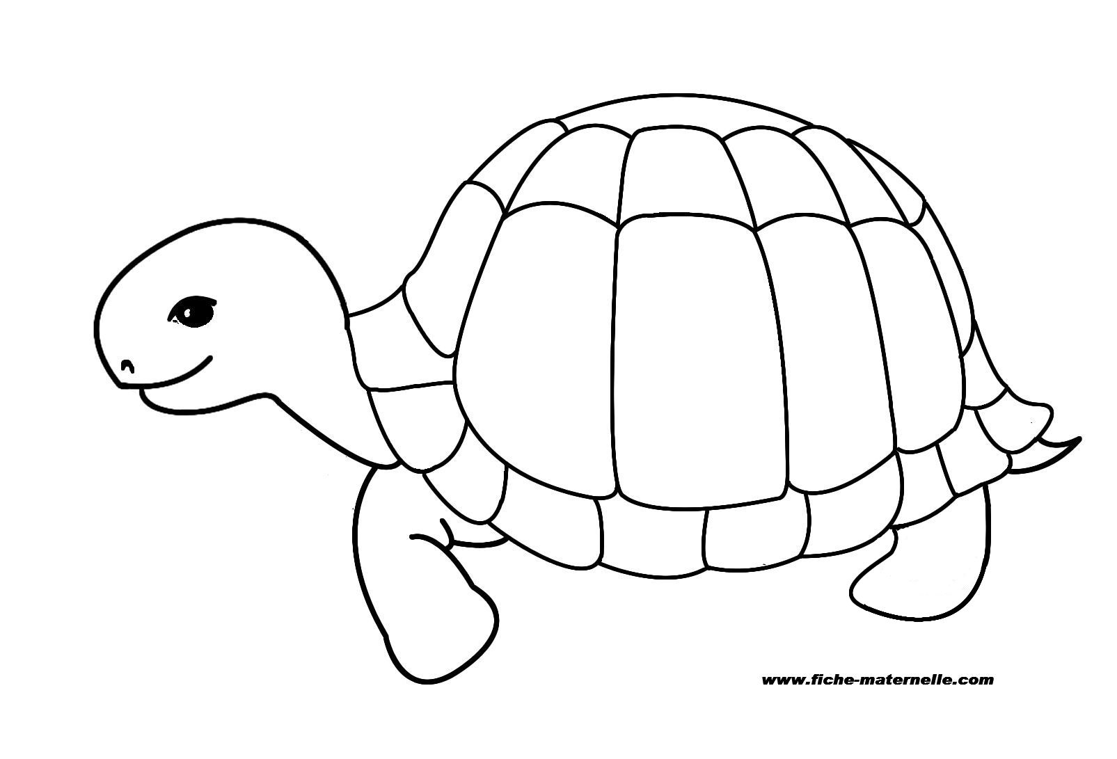 Dessus Coloriage A Imprimer De tortue