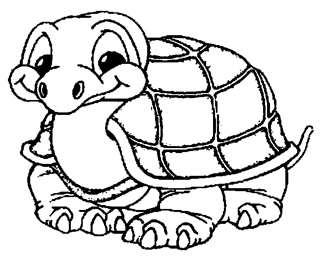 Dessin Tortue Hermann Dessin Tortue Hermann